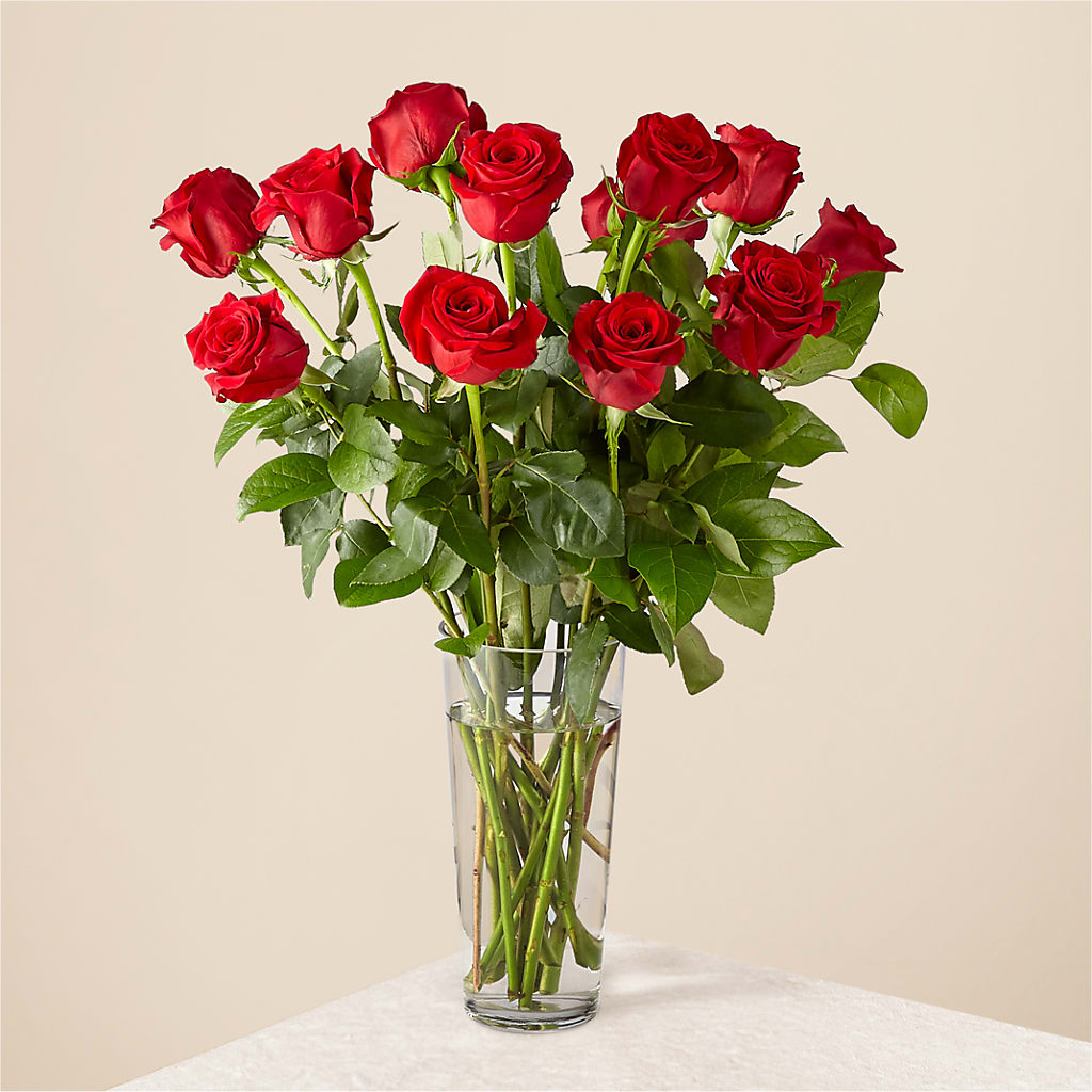 Long Stem Red Rose Bouquet – Barbur Floral Shop, Geneva NE