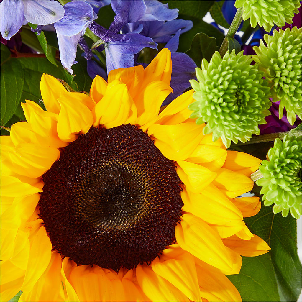 Catching Rays Bouquet – Barbur Floral Shop, Geneva NE