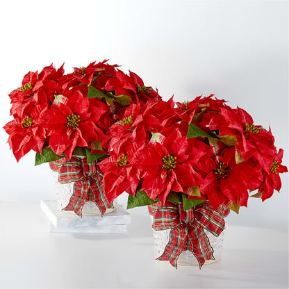 Happiest Holidays Poinsettia Bundle –  Barbur Floral Shop, Geneva NE