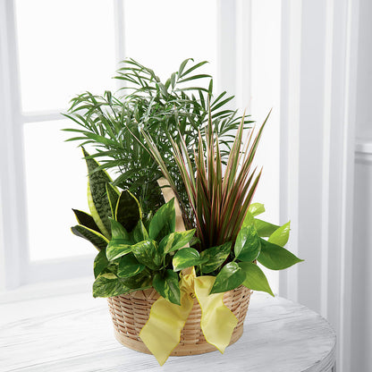 French Garden –  Barbur Floral Shop, Geneva NE
