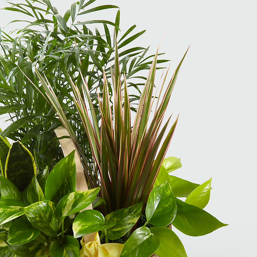 French Garden –  Barbur Floral Shop, Geneva NE