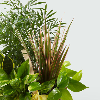 French Garden –  Barbur Floral Shop, Geneva NE
