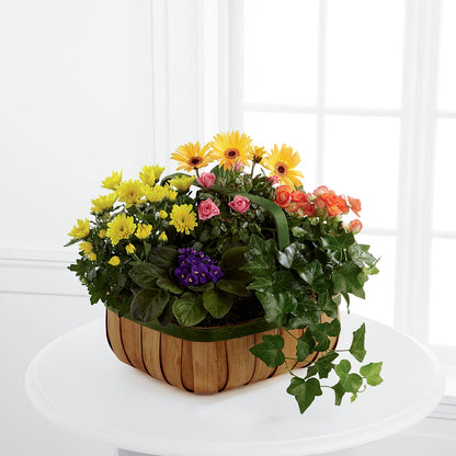 Gentle Blossoms Basket –  Barbur Floral Shop, Geneva NE