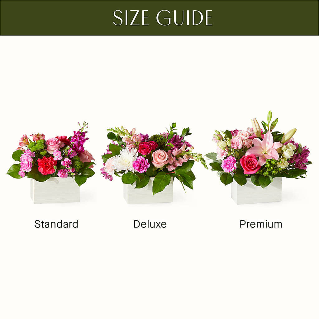 Sweetberry Box – A Florist Original –  Barbur Floral Shop, Geneva NE