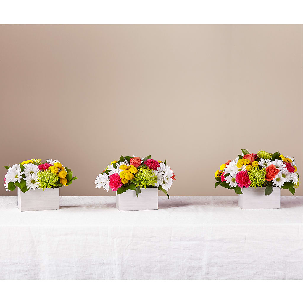 Sorbet Bouquet –  Barbur Floral Shop, Geneva NE