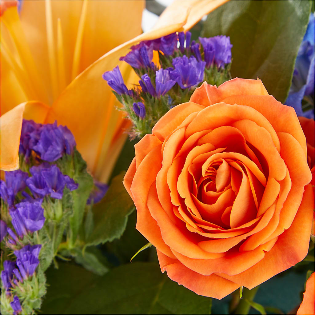 Radiant Citrus Box Bouquet –  Barbur Floral Shop, Geneva NE
