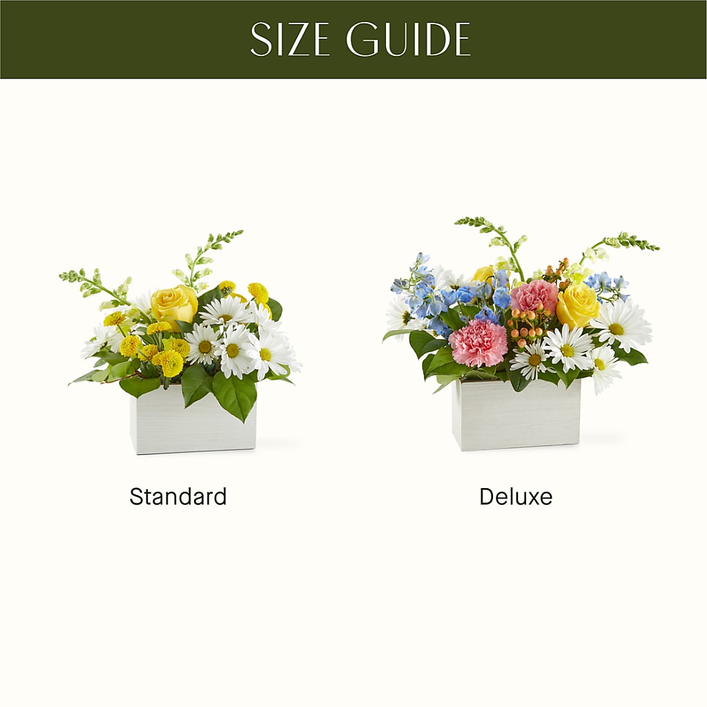 Sun Salutation Box Bouquet –  Barbur Floral Shop, Geneva NE