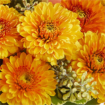 Peachy Pumpkin –  Barbur Floral Shop, Geneva NE