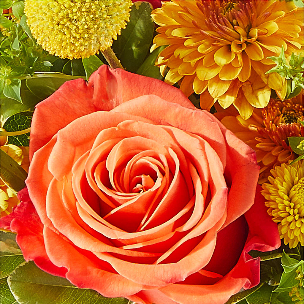 Gourdgeous Pumpkin –  Barbur Floral Shop, Geneva NE