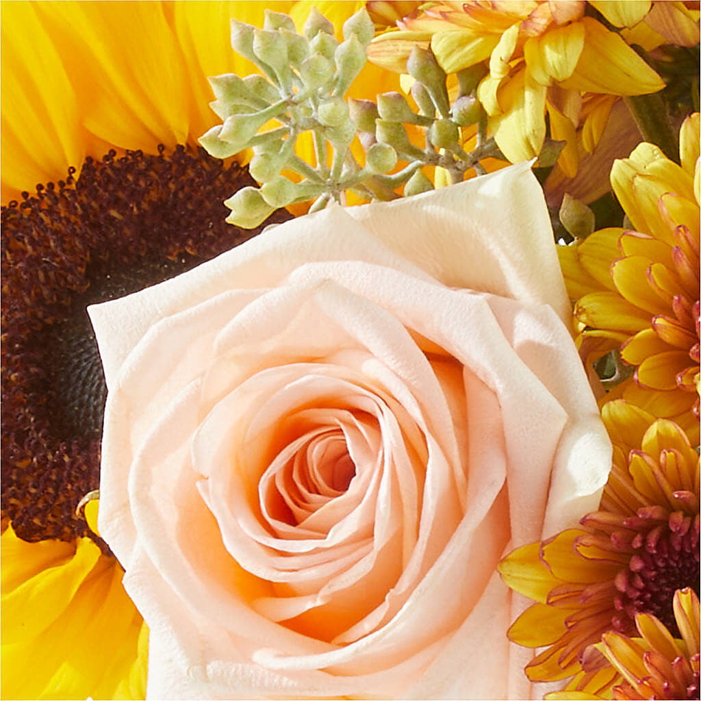 Pumpkin to Talk About Bouquet –  Barbur Floral Shop, Geneva NE