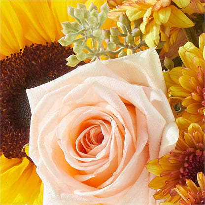 Pumpkin to Talk About Bouquet –  Barbur Floral Shop, Geneva NE