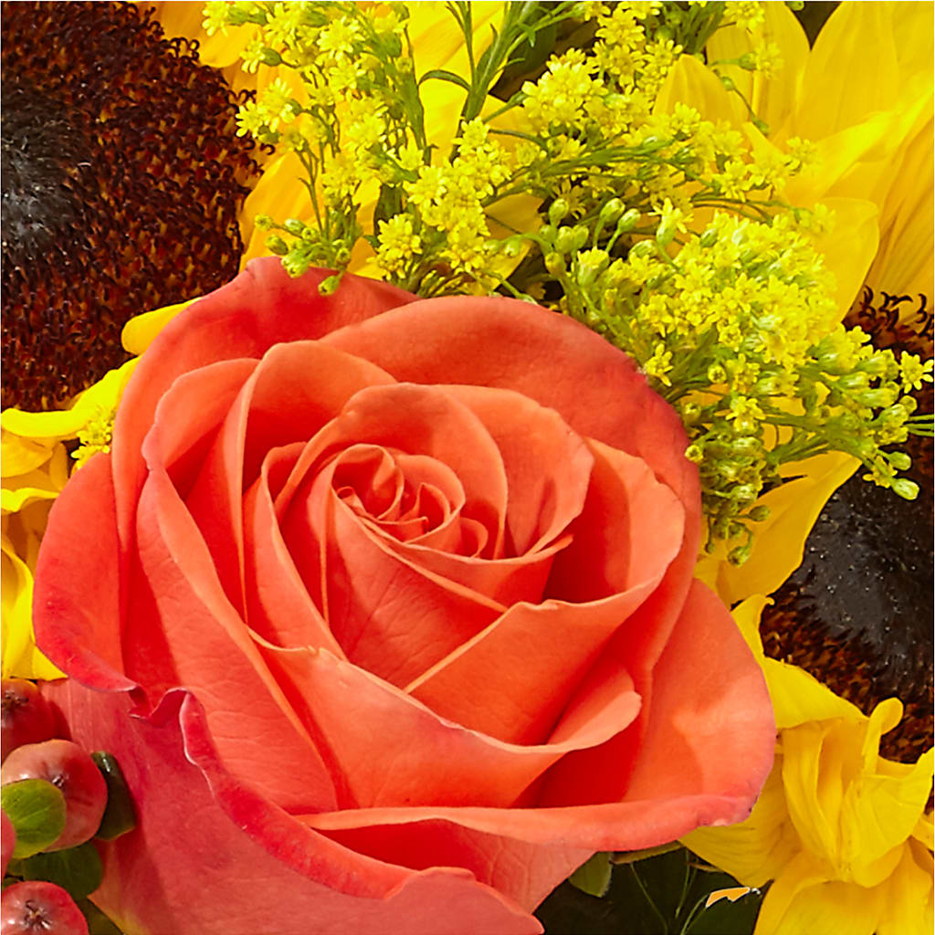 Pick of the Patch Pumpkin Bouquet –  Barbur Floral Shop, Geneva NE