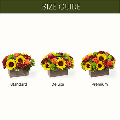 Happy Harvest Garden –  Barbur Floral Shop, Geneva NE