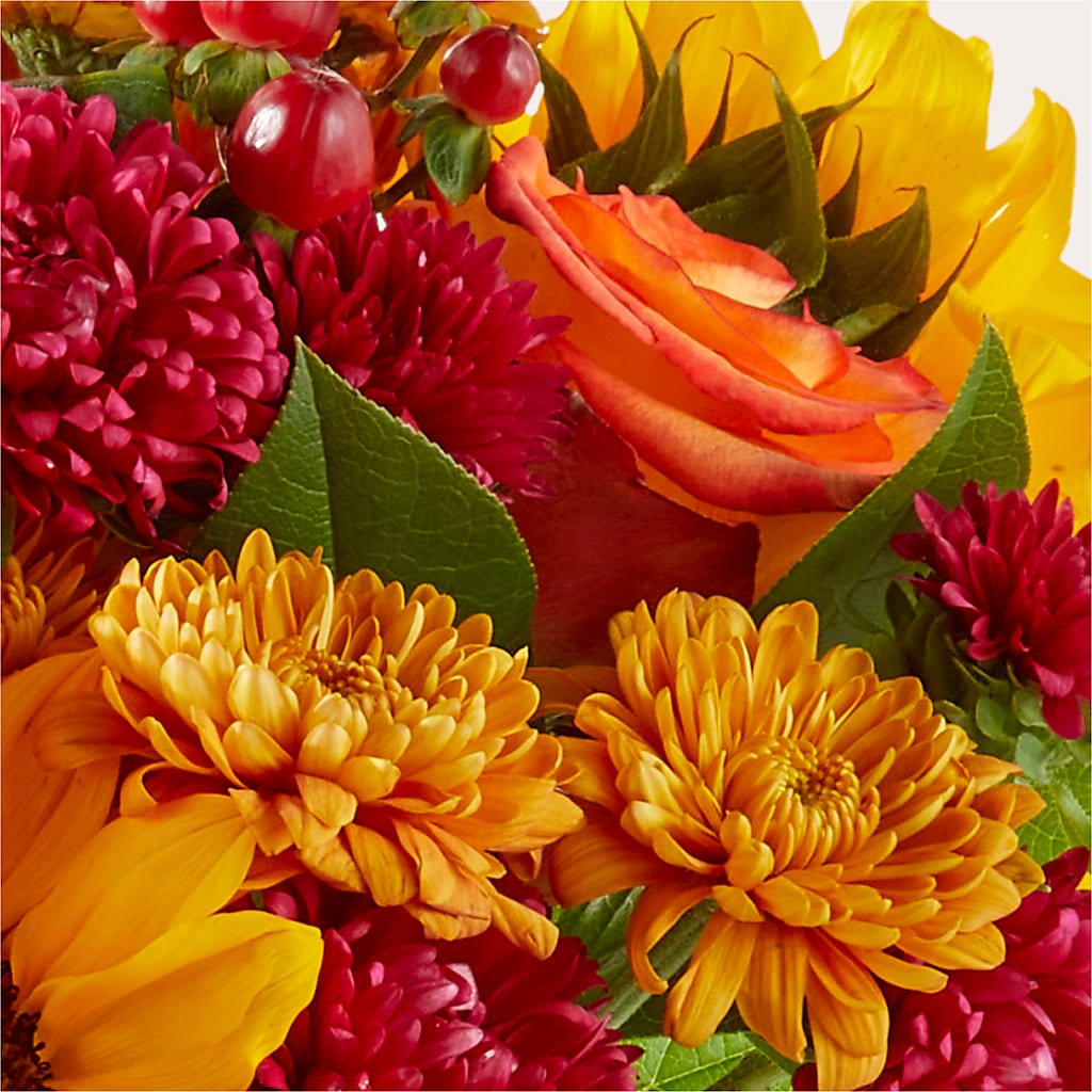 Sweater Season - A Florist Original –  Barbur Floral Shop, Geneva NE