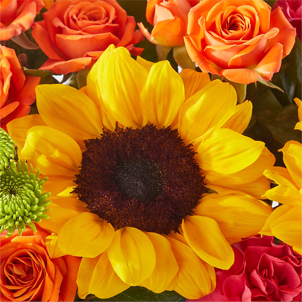 Sun-drenched Blooms Box Bouquet –  Barbur Floral Shop, Geneva NE
