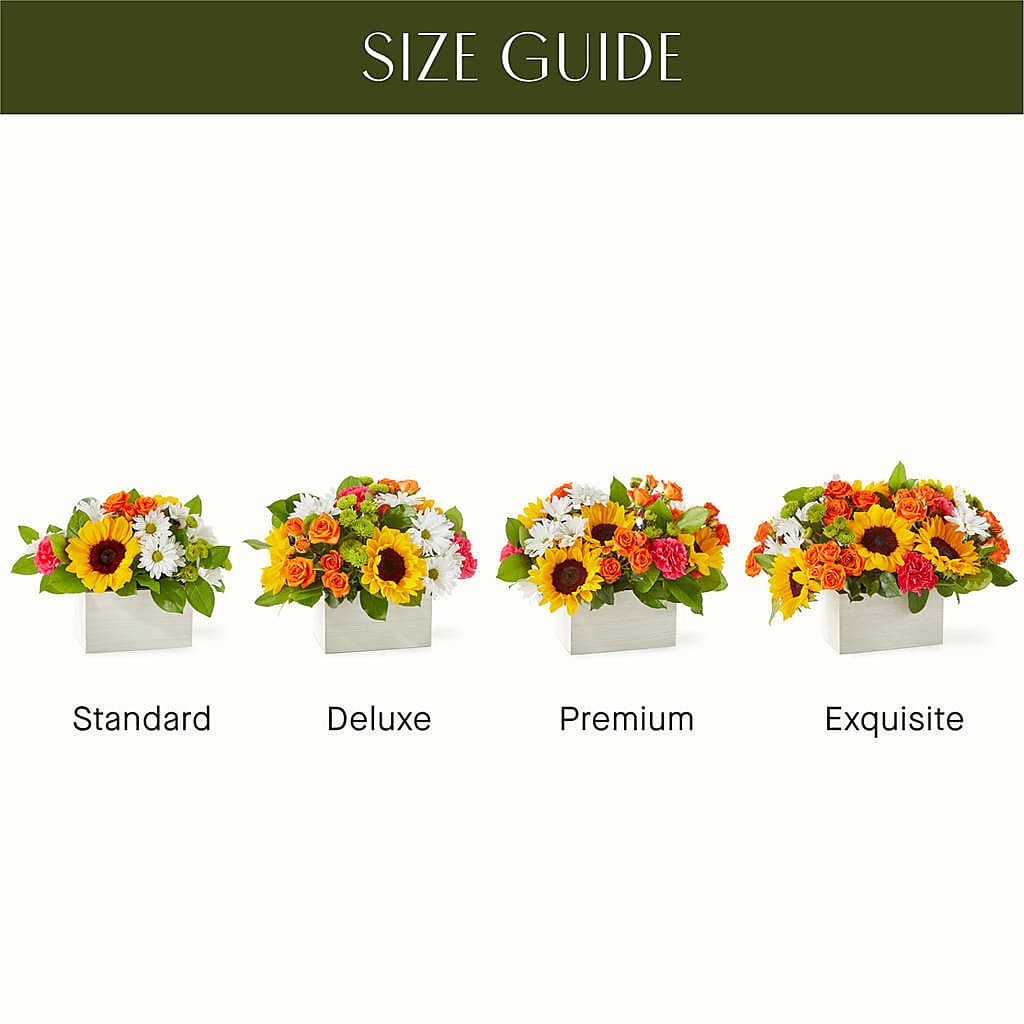 Sun-drenched Blooms Box Bouquet –  Barbur Floral Shop, Geneva NE
