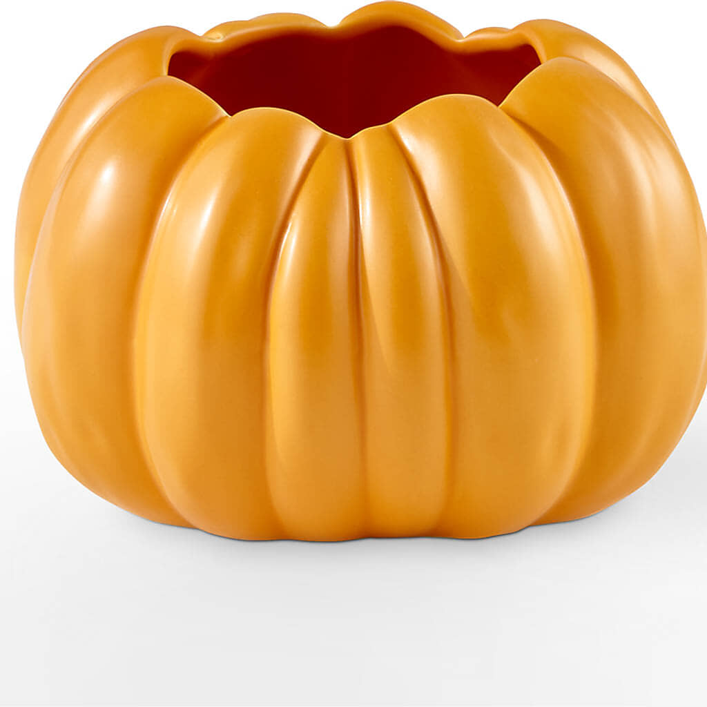 Golden Gourd Pumpkin Bouquet –  Barbur Floral Shop, Geneva NE