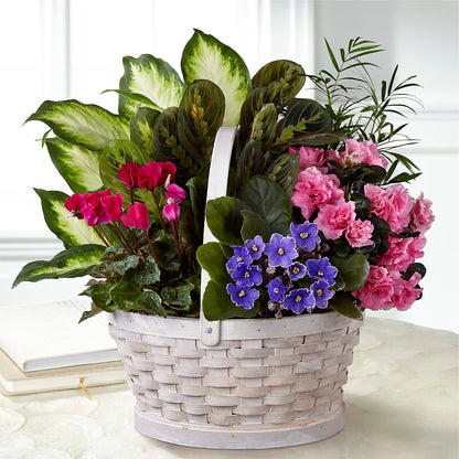 Peaceful Garden Planter –  Barbur Floral Shop, Geneva NE
