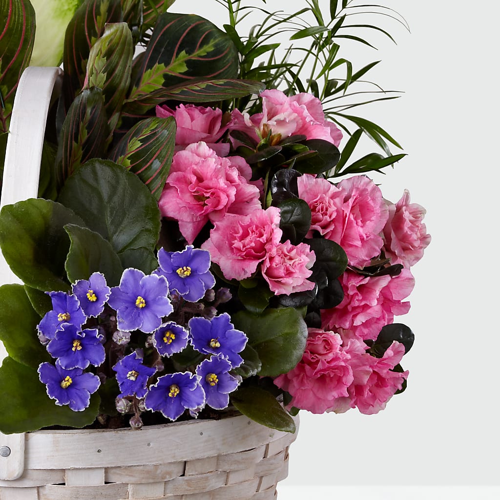 Peaceful Garden Planter –  Barbur Floral Shop, Geneva NE