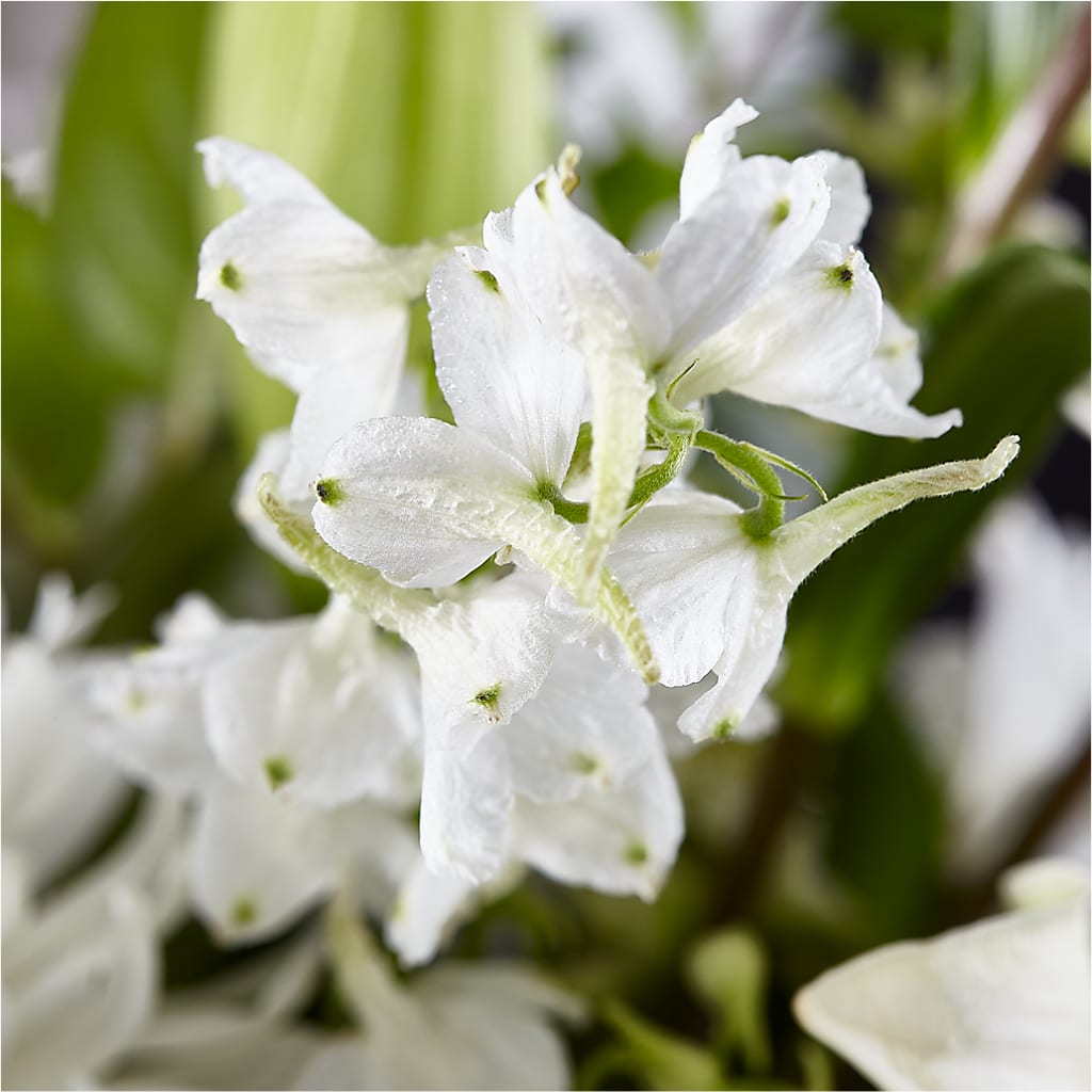 Classic Ivory – A Florist Original –  Barbur Floral Shop, Geneva NE