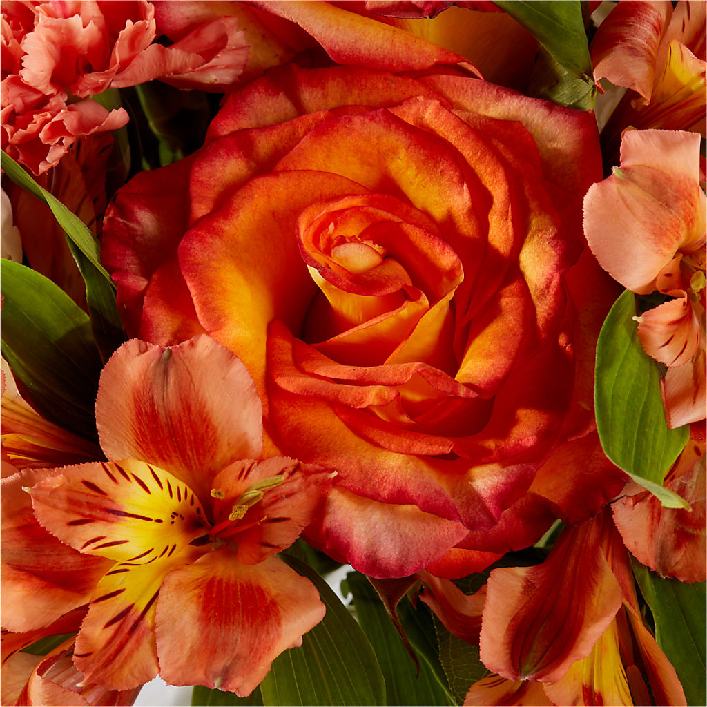 Apricot Glow Bouquet –  Barbur Floral Shop, Geneva NE