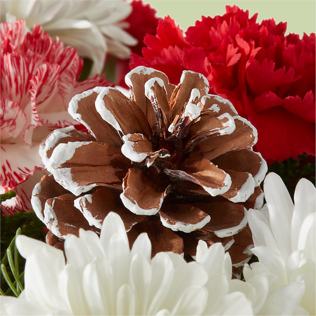 Candy Cane Lane Bouquet –  Barbur Floral Shop, Geneva NE