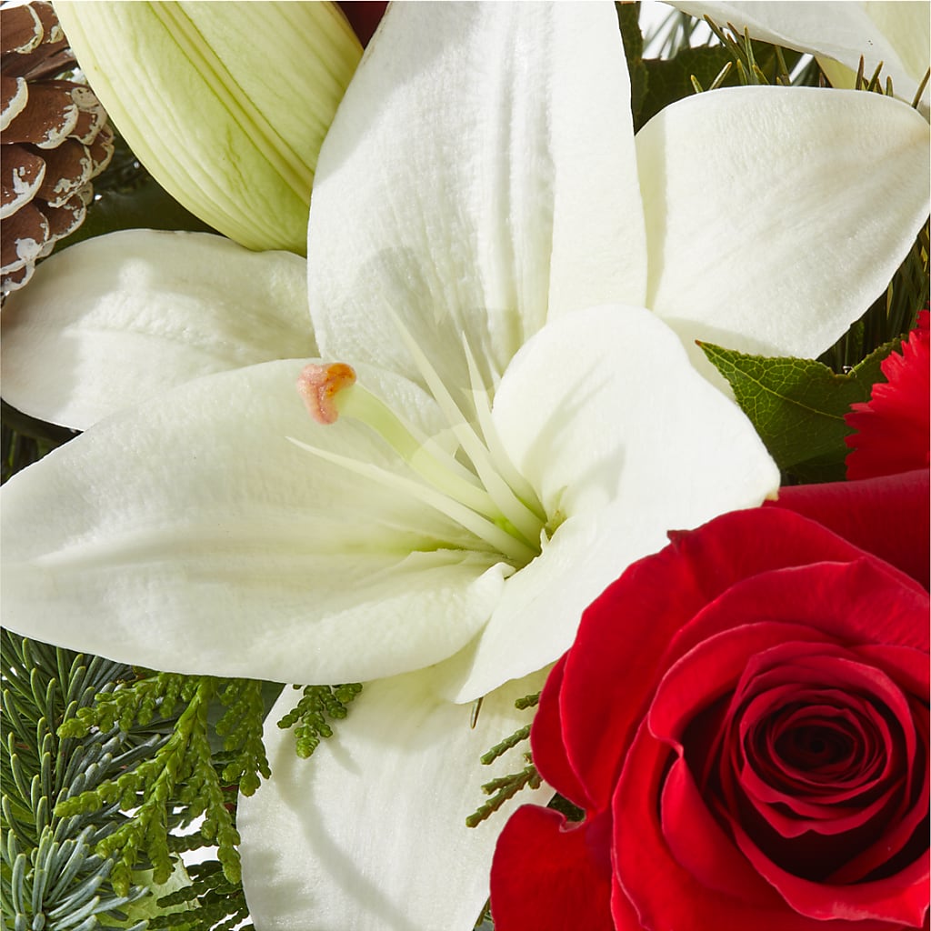 Oh So Jolly Bouquet –  Barbur Floral Shop, Geneva NE