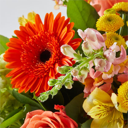 Autumn Sunshine Bouquet –  Barbur Floral Shop, Geneva NE