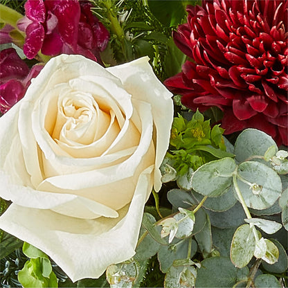 Cranberry Fizz Bouquet –  Barbur Floral Shop, Geneva NE