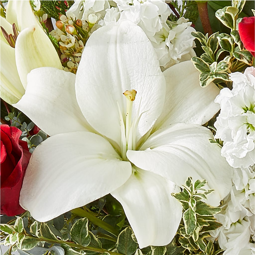 Twinkle Lights Bouquet –  Barbur Floral Shop, Geneva NE