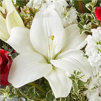 Twinkle Lights Bouquet –  Barbur Floral Shop, Geneva NE