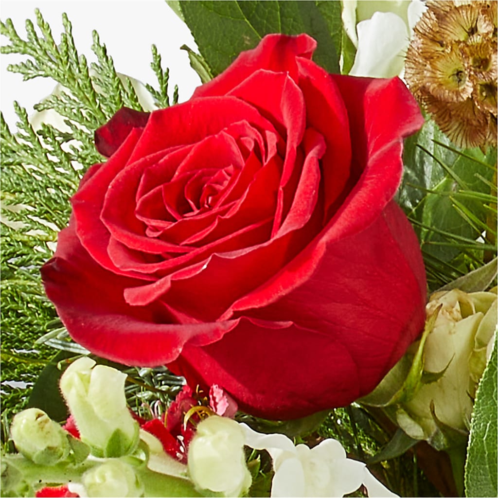 Deck the Halls Bouquet –  Barbur Floral Shop, Geneva NE