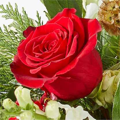 Deck the Halls Bouquet –  Barbur Floral Shop, Geneva NE