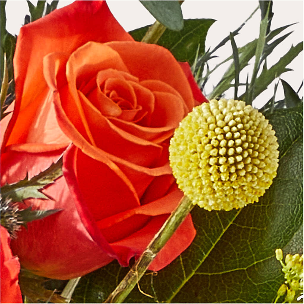Disco Bouquet –  Barbur Floral Shop, Geneva NE