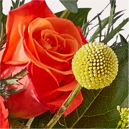 Disco Bouquet –  Barbur Floral Shop, Geneva NE