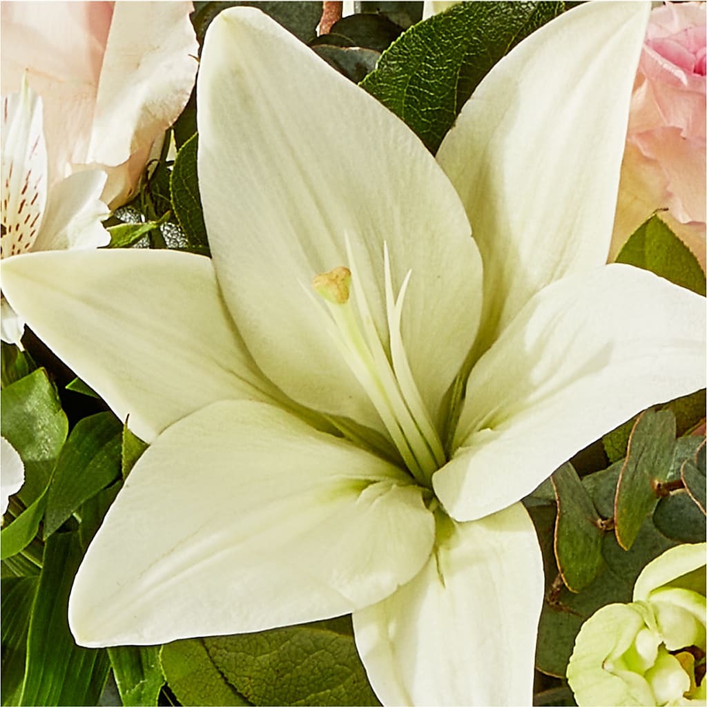Ballet Slippers Bouquet –  Barbur Floral Shop, Geneva NE