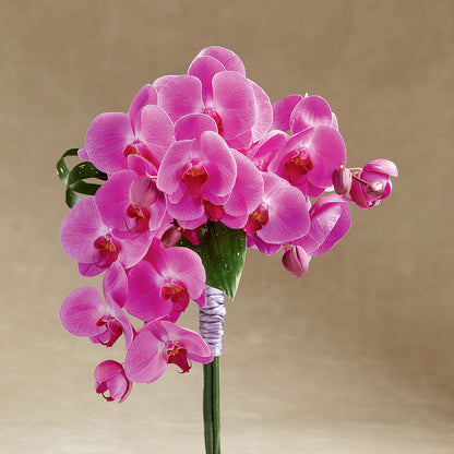Glorious Bouquet –  Barbur Floral Shop, Geneva NE