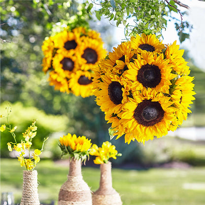 Sublime Garden Hanging Arrangement –  Barbur Floral Shop, Geneva NE