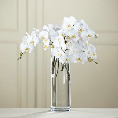 White Phalaenopsis Bouquet –  Barbur Floral Shop, Geneva NE