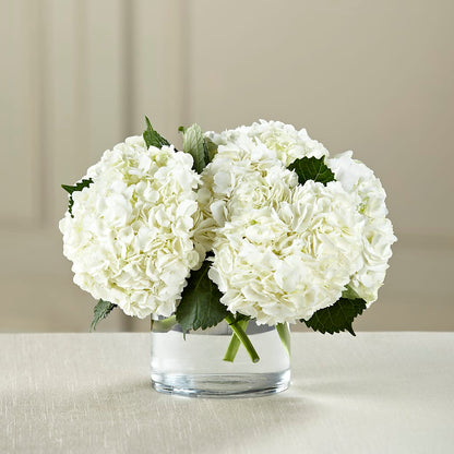 White Hydrangea Bouquet –  Barbur Floral Shop, Geneva NE